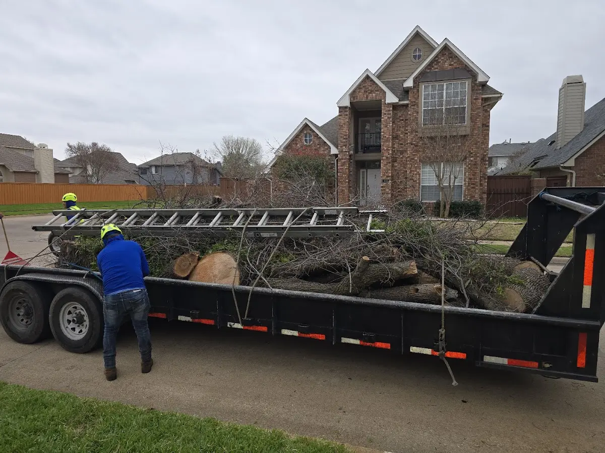 Expert Crown Reduction with proper safety equipment in Dewitt
